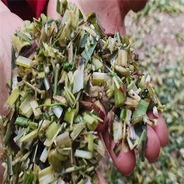 equipment-homemade-chaff-cutter-for-animal