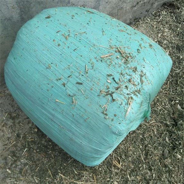 Mini Corn Silage Packing Machine